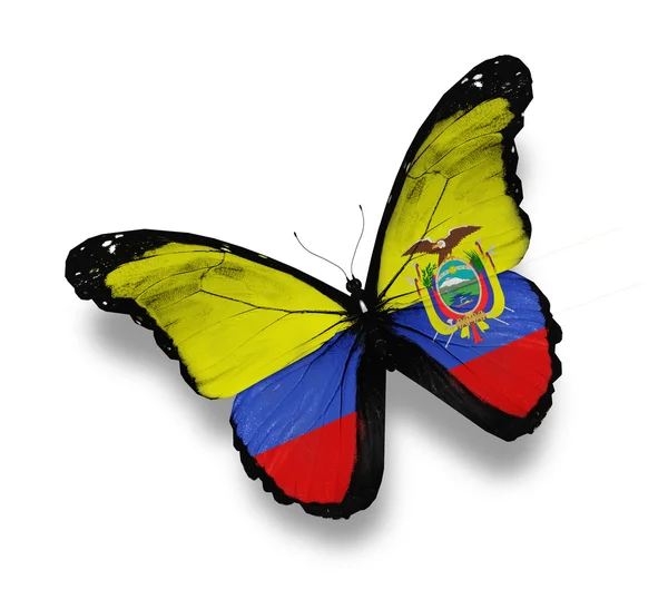 Mariposa bandera de Ecuador, aislada en blanco —  Fotos de Stock