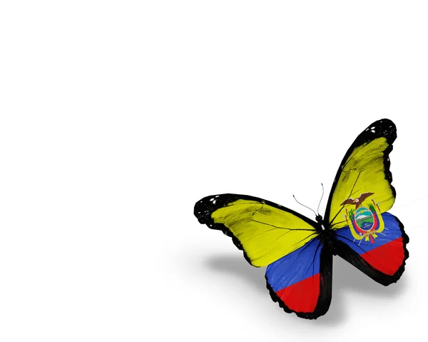 Papillon drapeau équatorien, isolé sur fond blanc — Photo