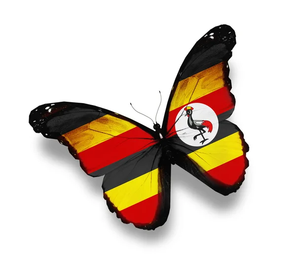 Mariposa bandera de Uganda, aislada en blanco — Foto de Stock