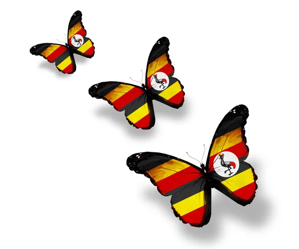 Tři motýly vlajka Ugandy, izolovaných na bílém — Stock fotografie