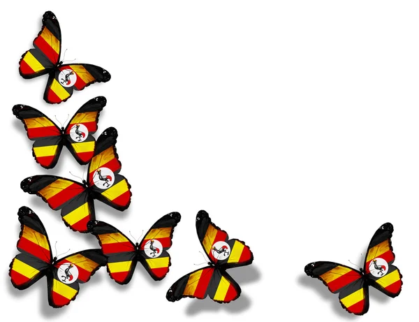 Bandeira de Uganda borboletas, isoladas sobre fundo branco — Fotografia de Stock