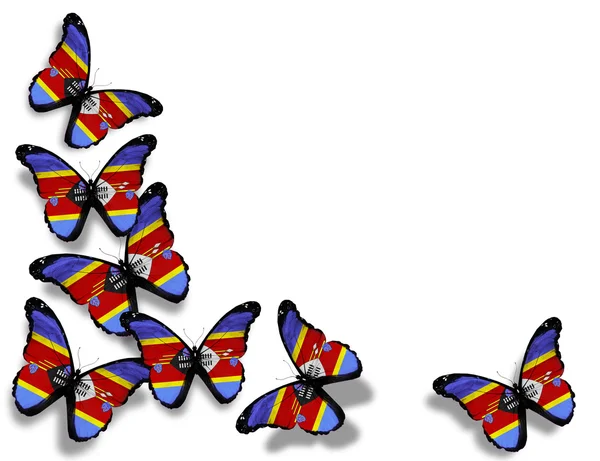 Papillons drapeau du Swaziland, isolés sur fond blanc — Photo