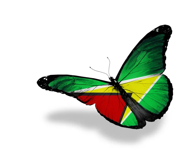 Guyana Flagge Schmetterling fliegen, isoliert auf weißem Hintergrund — Stockfoto