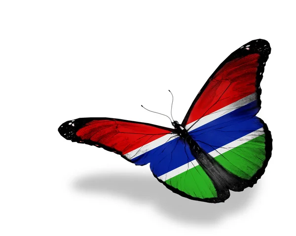 Gambia Flagge Schmetterling fliegen, isoliert auf weißem Hintergrund — Stockfoto