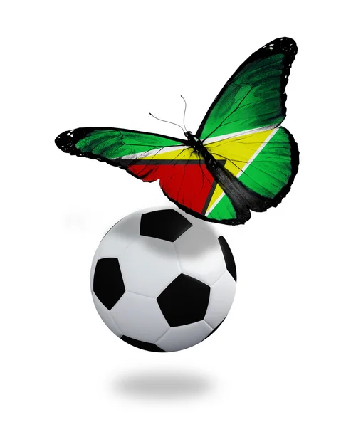 Koncept - motýl s guyana vlajku poblíž míč, jako — Stock fotografie