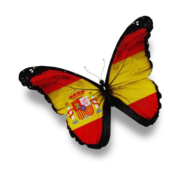 İspanyol bayrağı kelebek, üzerinde beyaz izole