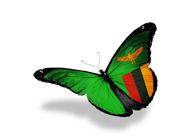Zambia flag butterfly flying, isolated on white background — Stock Photo, Image