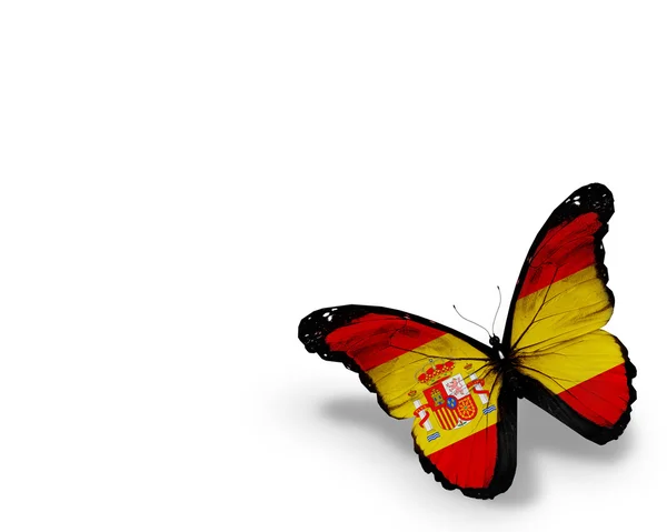 Mariposa bandera de España, aislada sobre fondo blanco — Foto de Stock