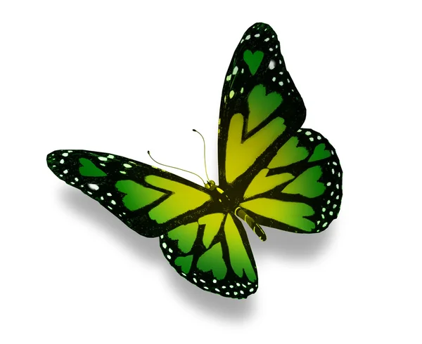 Метелик з серцями на крилах, ізольований на білому — стокове фото