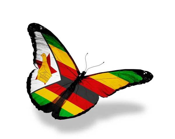 津巴布韦国旗蝴蝶飞，孤立在白色背景 — 图库照片