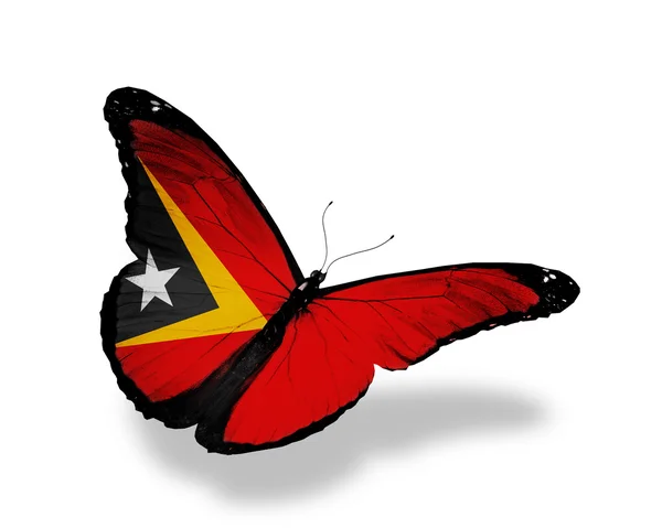 Oost-timor vlag vlinder vliegen, geïsoleerde op witte achtergrond — Stockfoto