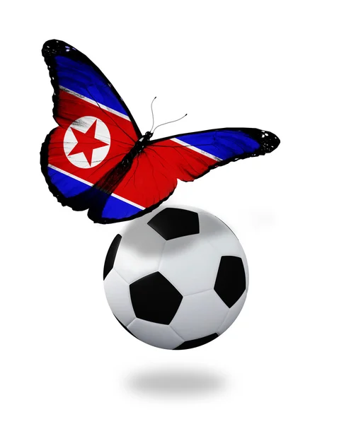 Концепция - бабочка с флагом КНДР, летящим рядом с мячом , — стоковое фото