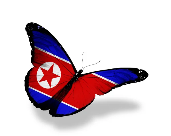 朝鲜国旗蝴蝶飞，孤立在白色背景 — 图库照片