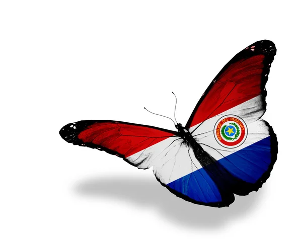 Paraguay Flagge Schmetterling fliegen, isoliert auf weißem Hintergrund — Stockfoto