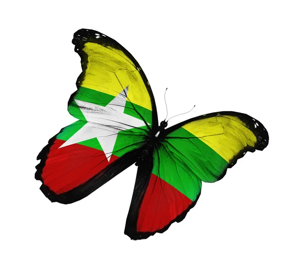 Myanmar flag butterfly flying, isolated on white background — Stock Photo, Image