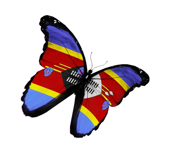 Swasiland Flagge Schmetterling fliegen, isoliert auf weißem Hintergrund — Stockfoto