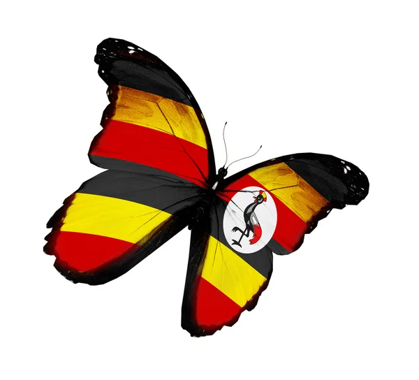 Uganda zászló pillangó repülő, a elszigetelt fehér háttér — Stock Fotó