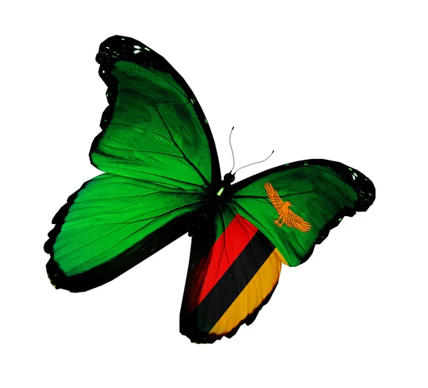 Motyl flaga Zambii latający na białym tle na białym tle — Zdjęcie stockowe