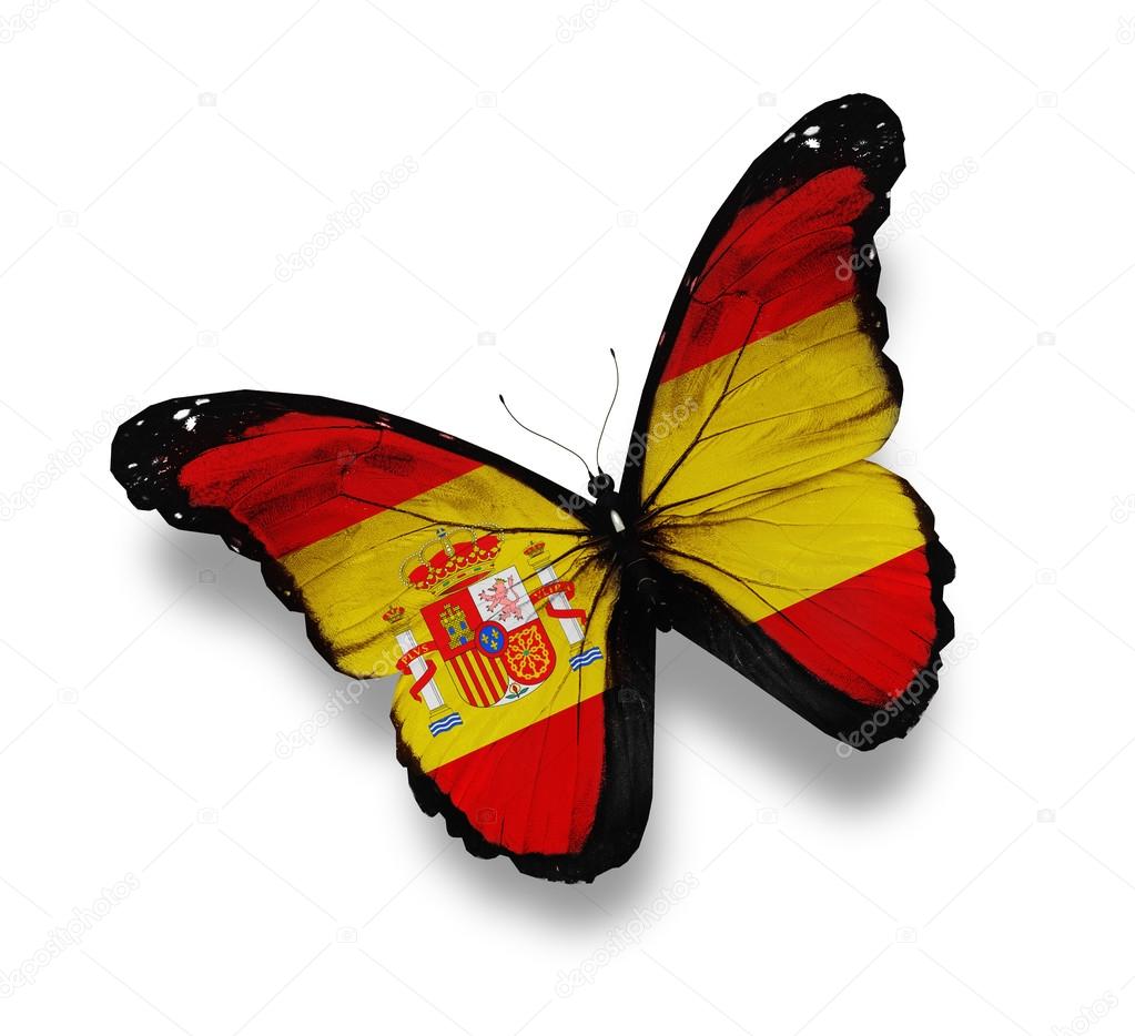 Mariposa bandera de España, aislada sobre blanco: fotografía de stock