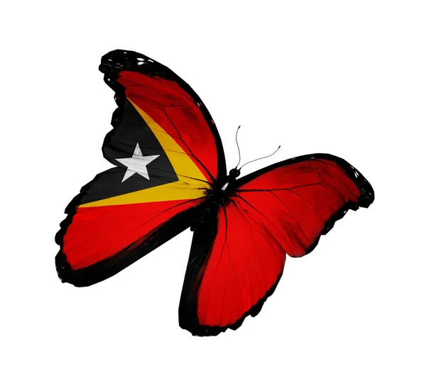 East Timor flag butterfly flying, isolated on white background — Stock Photo, Image