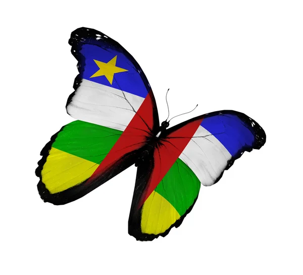 Uçuş, whit üzerinde izole Orta Afrika Cumhuriyeti bayrağı kelebek — Stok fotoğraf