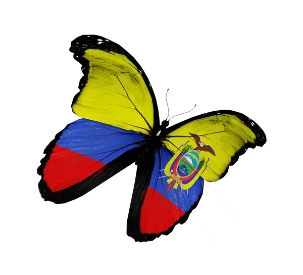 Ecuador vlag vlinder vliegen, geïsoleerde op witte achtergrond — Stockfoto