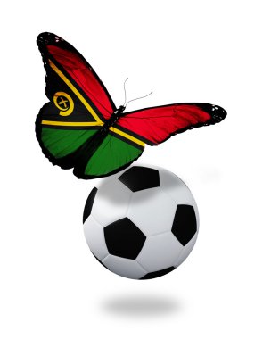 kavram - vanuatu bayrağını topu gibi uçan kelebek