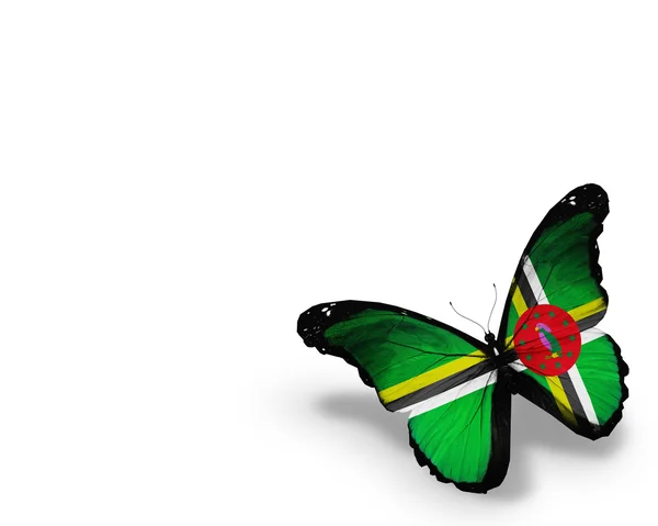 Бабочка с флагом Доминики, изолированная на белом фоне — стоковое фото