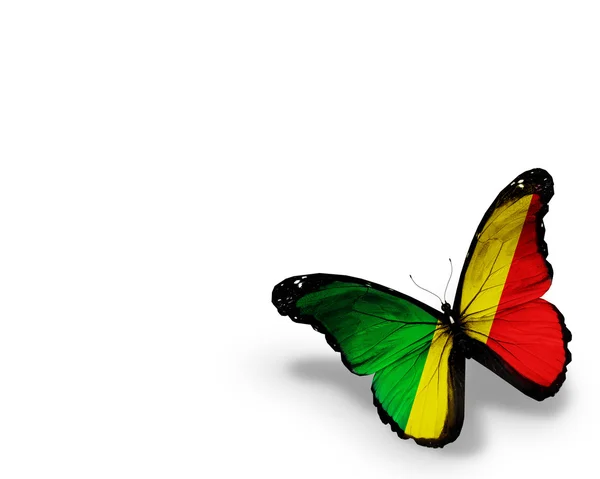 Papillon drapeau du Congo, isolé sur fond blanc — Photo