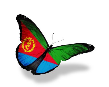 Eritre bayrak kelebek uçuyor, izole üzerinde beyaz arka plan
