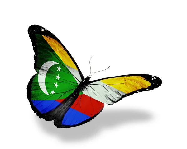Comoren vlag vlinder vliegen, geïsoleerde op witte achtergrond — Stockfoto
