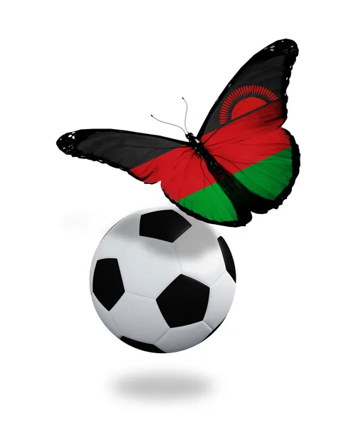 Conceito - borboleta com bandeira do Malawi voando perto da bola, como — Fotografia de Stock