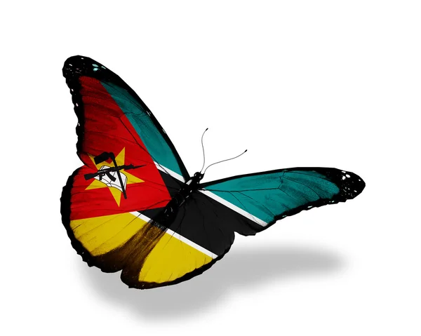 Drapeau du Mozambique papillon volant, isolé sur fond blanc — Photo