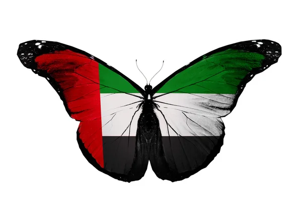 Spojené arabské emiráty vlajky motýl, izolovaných na bílém poza — Stock fotografie
