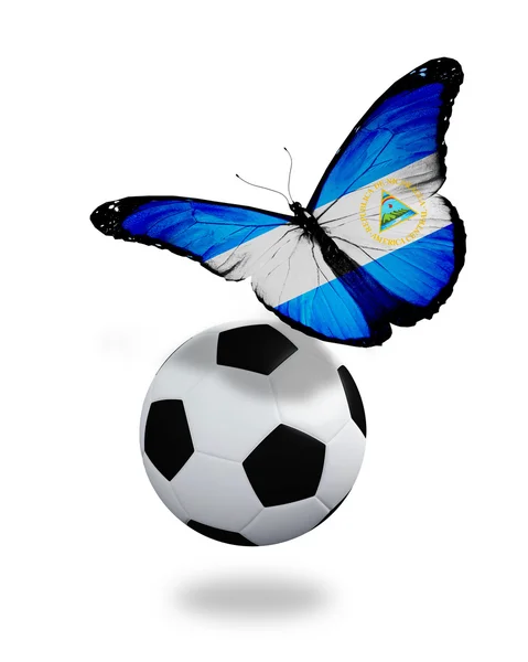 Concepto - mariposa con bandera de Nicaragua volando cerca de la pelota, li — Foto de Stock