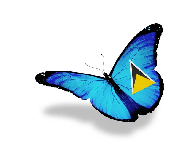 Saint lucia vlag vlinder vliegen, geïsoleerde op witte achtergrond — Stockfoto