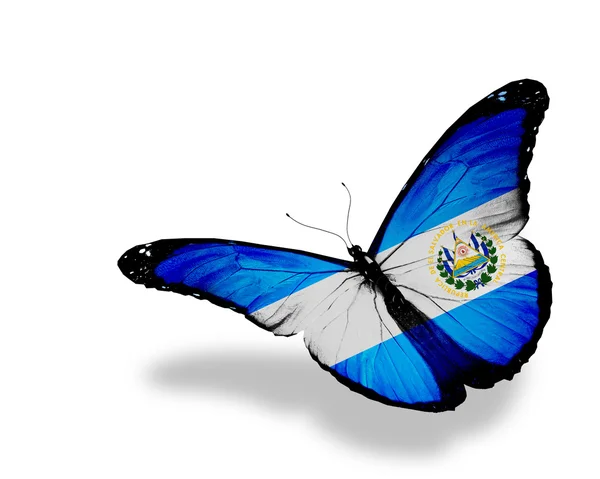 Флаг Сальвадора бабочка летит, изолированные на белом фоне — стоковое фото