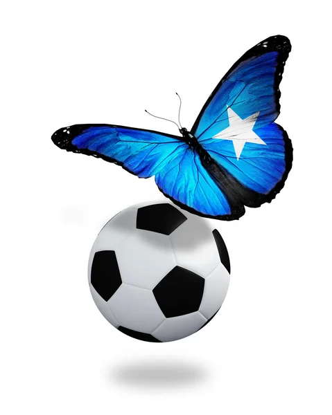 Concepto - mariposa con bandera somalí volando cerca de la pelota, lik —  Fotos de Stock