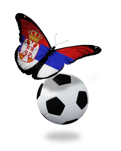 Concepto - mariposa con bandera serbia volando cerca de la pelota, lik — Foto de Stock