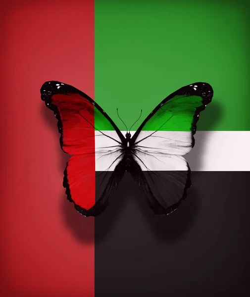 UAE flag butterfly, isolated on flag background — Stock Photo, Image