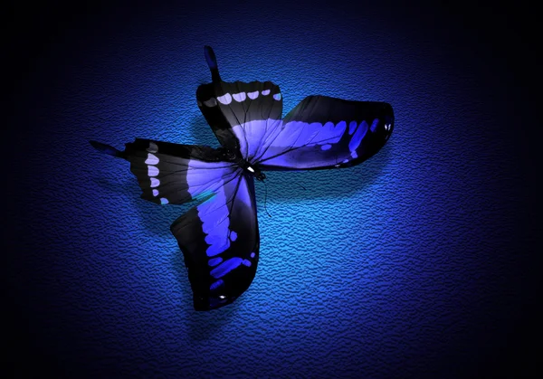 Mariposa azul sobre fondo azul oscuro — Foto de Stock