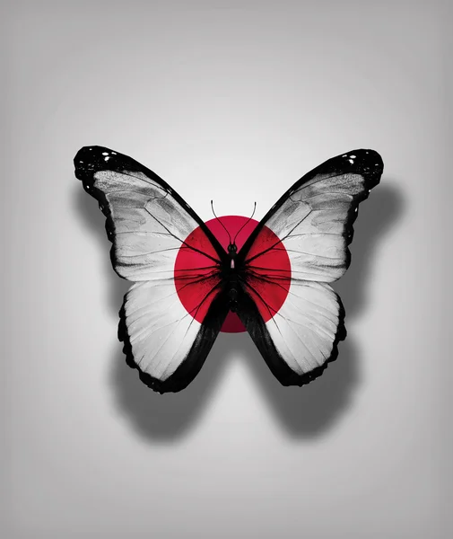 Papillon drapeau du Japon, isolé sur fond de drapeau — Photo