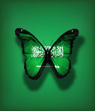 Suudi Arabistan bayrağı kelebek, bayrak özgeçmişlerine izole