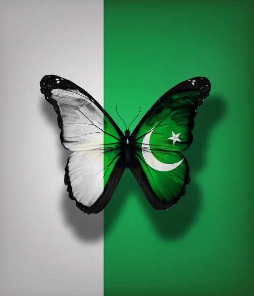 Pakistan flag butterfly, isolated on flag background — Stock Photo, Image