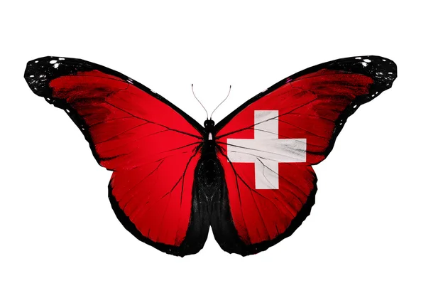 Papillon drapeau suisse, isolé sur fond blanc — Photo