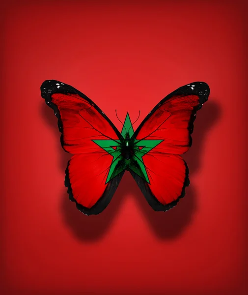 Mariposa de bandera marroquí, aislada sobre fondo de bandera — Foto de Stock