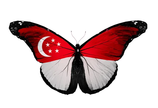 Singapur vlajky motýl, izolovaných na bílém pozadí — Stock fotografie