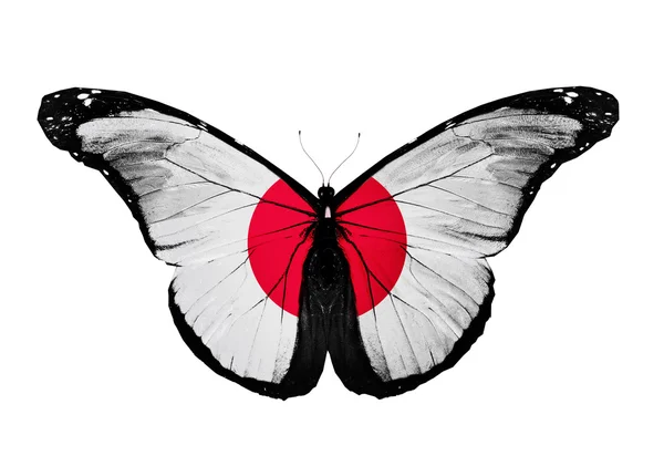 日本国旗蝴蝶，在白色背景上孤立 — 图库照片