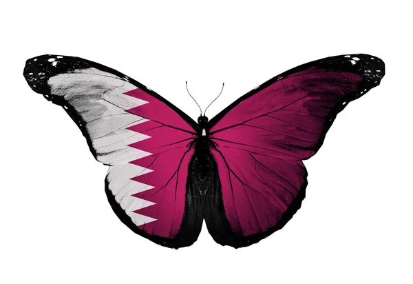 Papillon drapeau du Qatar, isolé sur fond blanc — Photo