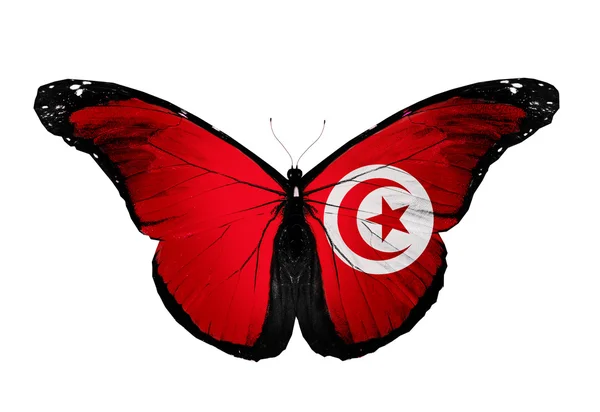 Tunisia Flagge Schmetterling, isoliert auf weißem Hintergrund — Stockfoto